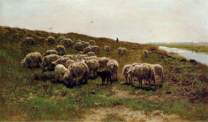 Mauve, Anton Sheep on a dyke France oil painting art